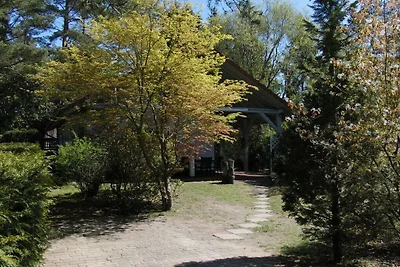 Ferienhaus am Fleesensee