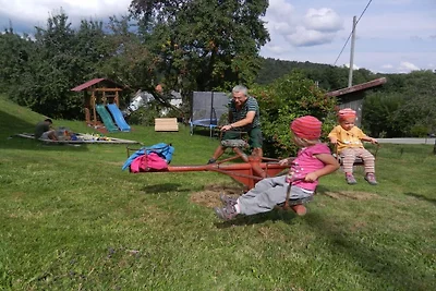 Büchele "Alpenuitzicht vanuit het...