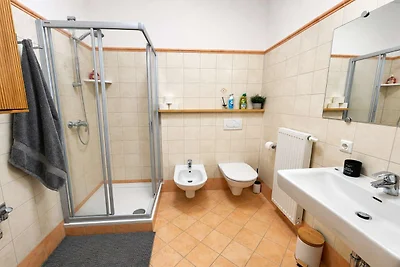 Apartment an der Skipiste