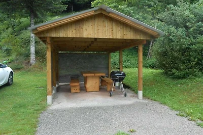 Vakantiehuis Ontspannende vakantie Bad Rippoldsau-Schapbach