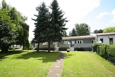 Schönes Ferienhaus mit Terrasse