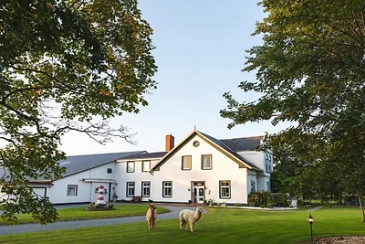 Ferienhaus Erholungsurlaub Kaiser-Wilhelm-Koog