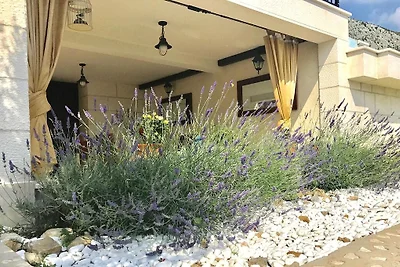 Villa Amare, Makarska mit Pool und Garten