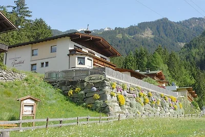 Scheuling nella Casa Fernblick