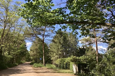 Ferienhaus mit 1 Schlafzimmer