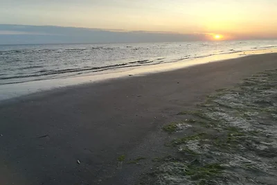 5 Personen Ferienhaus in Fanø