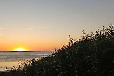 Ritiro spazioso a Stauning -- By Traum...