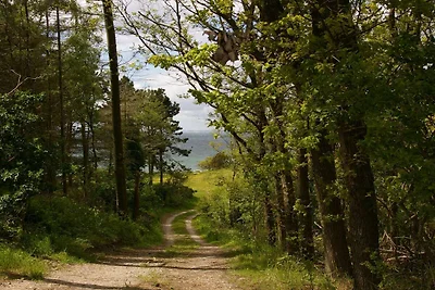 Kust ontsnapping in Helgenaes -- By Traum...