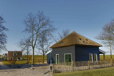 Villa in Hippolytushoef mit Terrasse