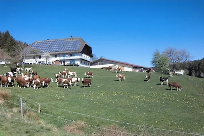 Ferienwohnung mit 2 Schlafzimmer