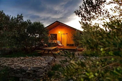 Adriatisches Kulturerbe-Glamping auf der...