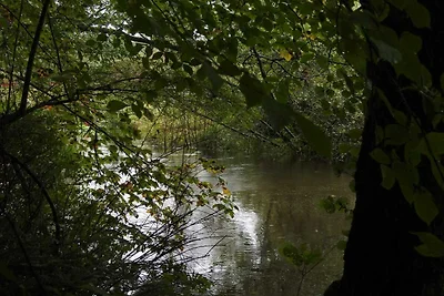 6 Personen Ferienhaus in Ålbæk-By Traum