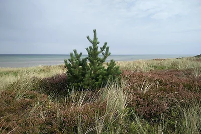 6 persone case ad Glesborg-By Traum