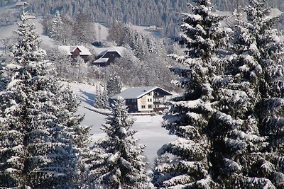 Nette Ferienwohnung in Afritz am See bei Skig...