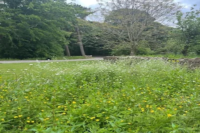 Haustierfreundliche Hütte am Seeufer.