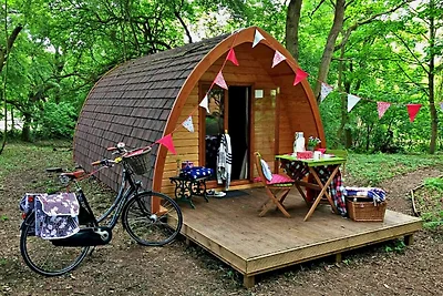Pod glamping moderni, ammessi animali domesti...