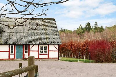 4 Sterne Ferienhaus in MUNKA-LJUNGBY