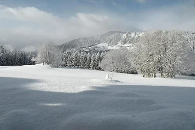 Gezellig chaletverblijf met zwembad