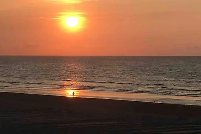 Appartement bij Koksijde aan Zee