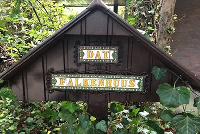 Landhaus DAT FALKENHUUS
