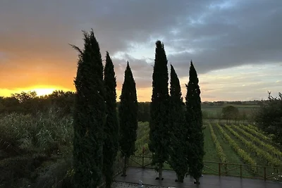 Fornace del Conte - Fornace