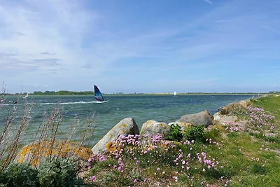 Ferienwohnung direkt am Hafen in Fehmarn-Orth