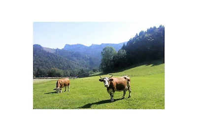 Vista di Kampenwand