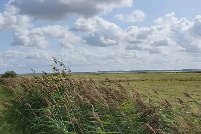 4 Personen Ferienhaus in Oksbøl-By Traum