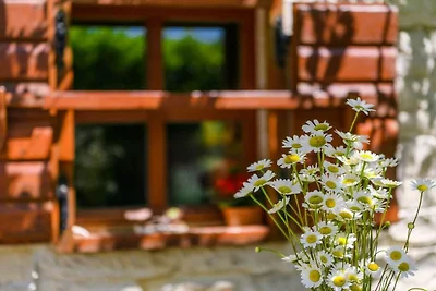 Ferienhaus in Rakalj mit Schwimmbecken