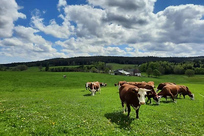 Zuckerbauernhof Weideblick