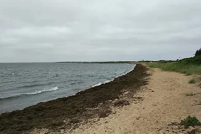 5 Personen Ferienhaus in Tarm