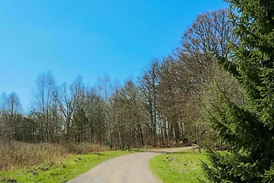 6 Personen Ferienhaus in HISHULT