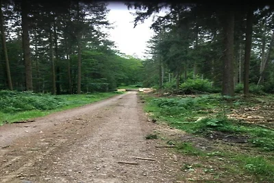 In der Region (Sommer) (>5 km) In der Region (Sommer) (>5 km)