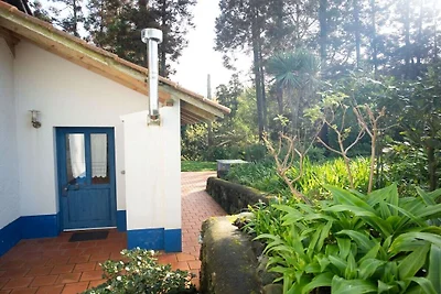 Ferienhaus mit 1 Schlafzimmer