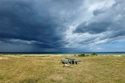 10 Personen Ferienhaus in Allingåbro-By Traum