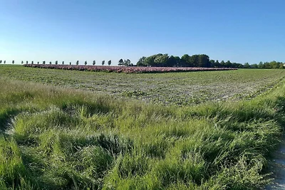 4 Personen Ferienhaus in Nakskov-By Traum
