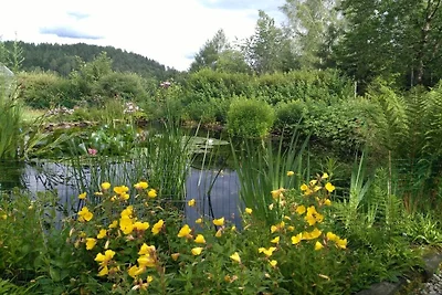 Ferienwohnung in Regen mit Schwimmbecken