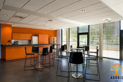 Adonis Dijon Einzelapartment