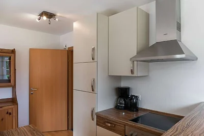 Appartement in Skigebietnähe