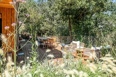 Haus im Luberon mit Pool und Garten