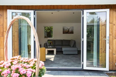 Casa moderna con tetto a Rhenen