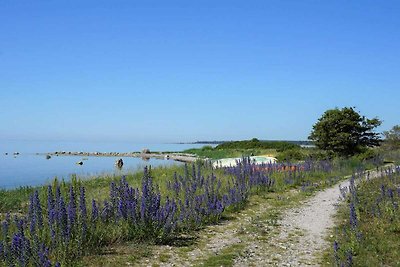 4 persoons vakantie huis in VISBY