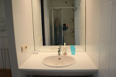 Wohnung in Nieuwpoort mit Meerblick