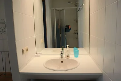 Appartement in Nieuwpoort met zeezicht