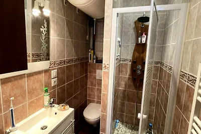 Wohnung in Mont-Dore in der Nähe der...