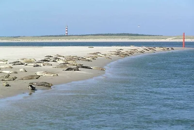 Duinhuis Ameland 1