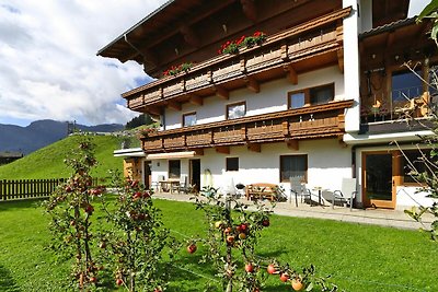 Wohnung in Hippach im Zillertal mit Blick