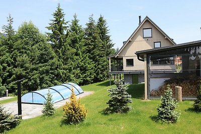 Villa in Dolni Morava met sauna