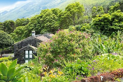 Casa vacanze a Praínha de Baixo, Pico, Azores