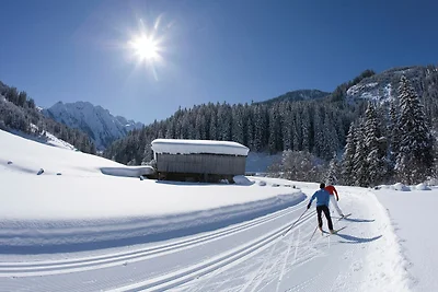 Ferienwohnung in der Nähe von vier Skiliften